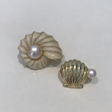Load image into Gallery viewer, Shell Brooch