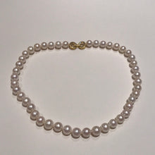 Load image into Gallery viewer, Three-Piece Freshwater Pearl Necklace Set 5-10mm in 14K Gold Filled
