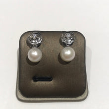 Load image into Gallery viewer, Camellia Flower Earrings Silver