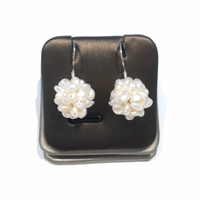 Load image into Gallery viewer, Berry Earrings