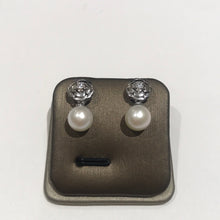 Load image into Gallery viewer, Camellia Flower Earrings Silver