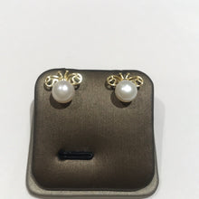 Load image into Gallery viewer, Bee Studs