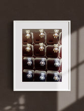 Load image into Gallery viewer, Bear Finest Pearl Brooch