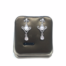 Load image into Gallery viewer, Vintage Looks Earrings