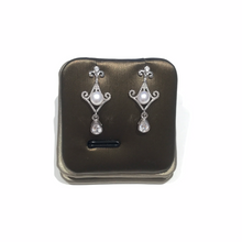 Load image into Gallery viewer, Vintage Looks Earrings