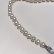 Load image into Gallery viewer, 8-9MM Premium Pearl Necklace
