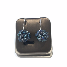 Load image into Gallery viewer, Berry Earrings