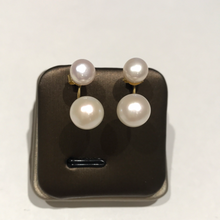 Load image into Gallery viewer, Double Pearl Studs (Golden)