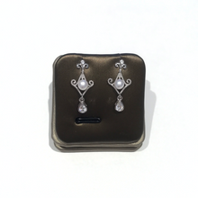 Load image into Gallery viewer, Vintage Looks Earrings