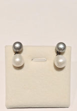 Load image into Gallery viewer, Mini Freshwater Pearl Earrings in Sterling Silver
