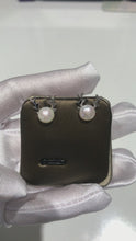 Load and play video in Gallery viewer, Deer Studs
