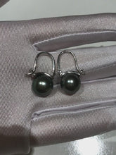 Load and play video in Gallery viewer, Tahitian Sea Pearl  11-12MM Earrings
