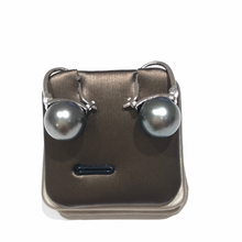 Load image into Gallery viewer, Tahitian Sea Pearl  11-12MM Earrings
