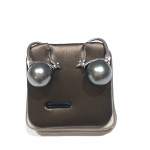 Tahitian Sea Pearl  11-12MM Earrings