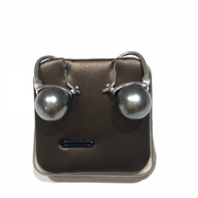 Load image into Gallery viewer, Tahitian Sea Pearl  11-12MM Earrings
