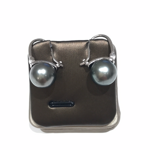 Tahitian Sea Pearl  11-12MM Earrings